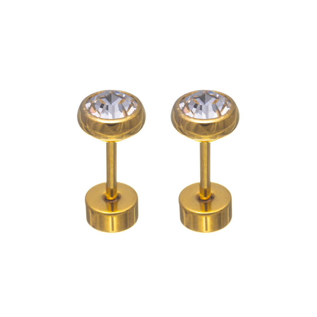 Titan Crystal Stud Örhängen 5 mm – Skruvlås (G23)
