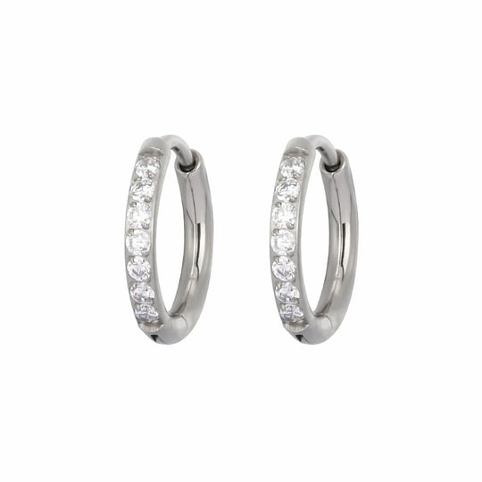 Titanium Zirconia Earrings 2mm (Titanium G23) - Ninja.fi
