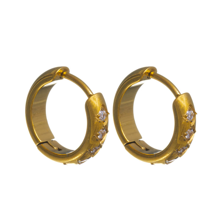 Titanium Zirconia Ear Rings 10mm – G23