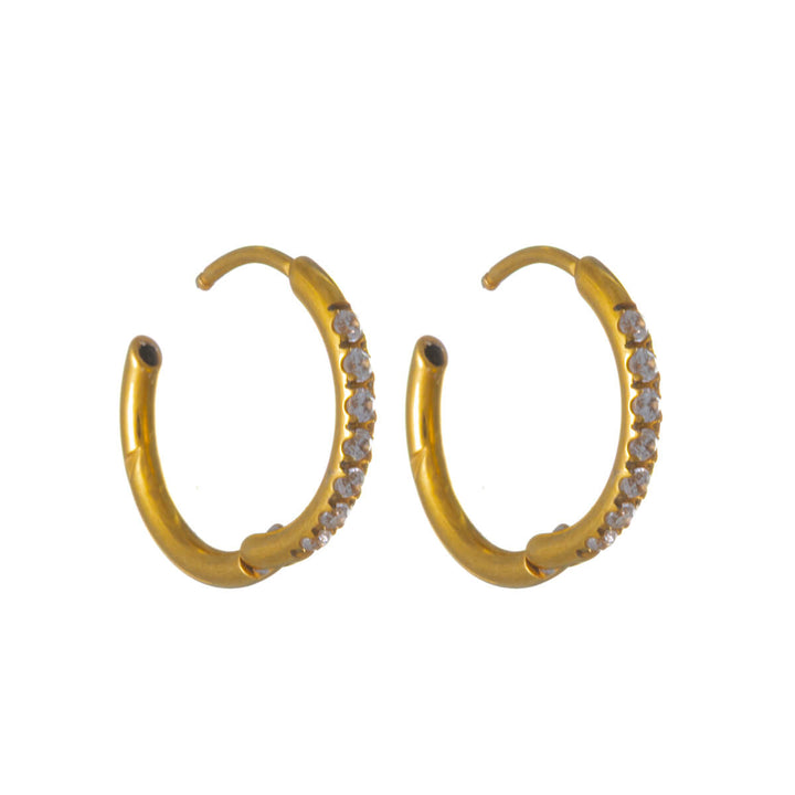 Guld- och titanörhängen med zirkonia – Pavé (G23)