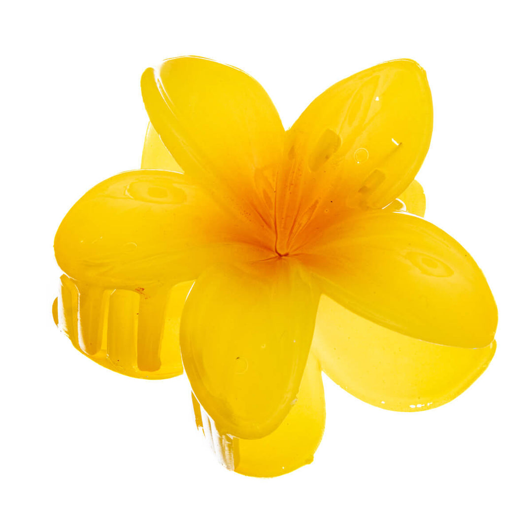 Kukka hiusklipsi plumeria hainhammas 8cm