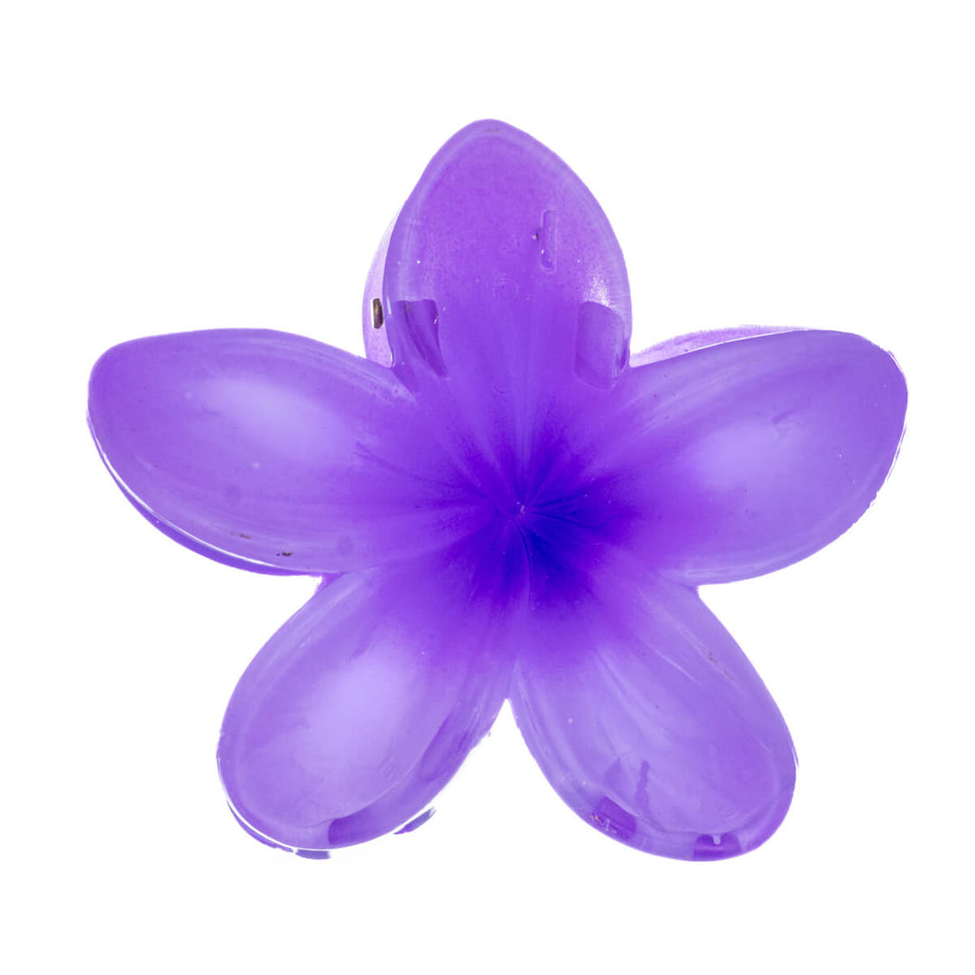 Kukka hiusklipsi plumeria hainhammas 8cm
