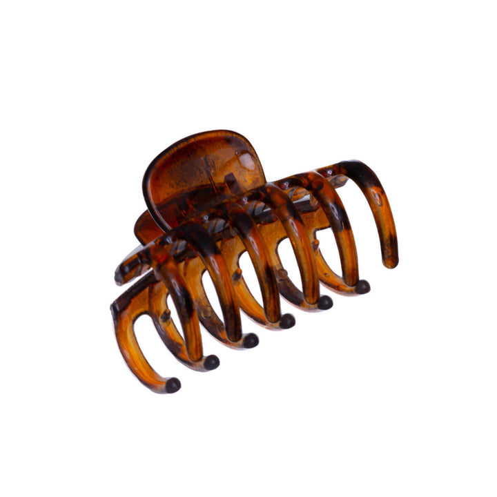 Small curved shark tooth 4,5cm