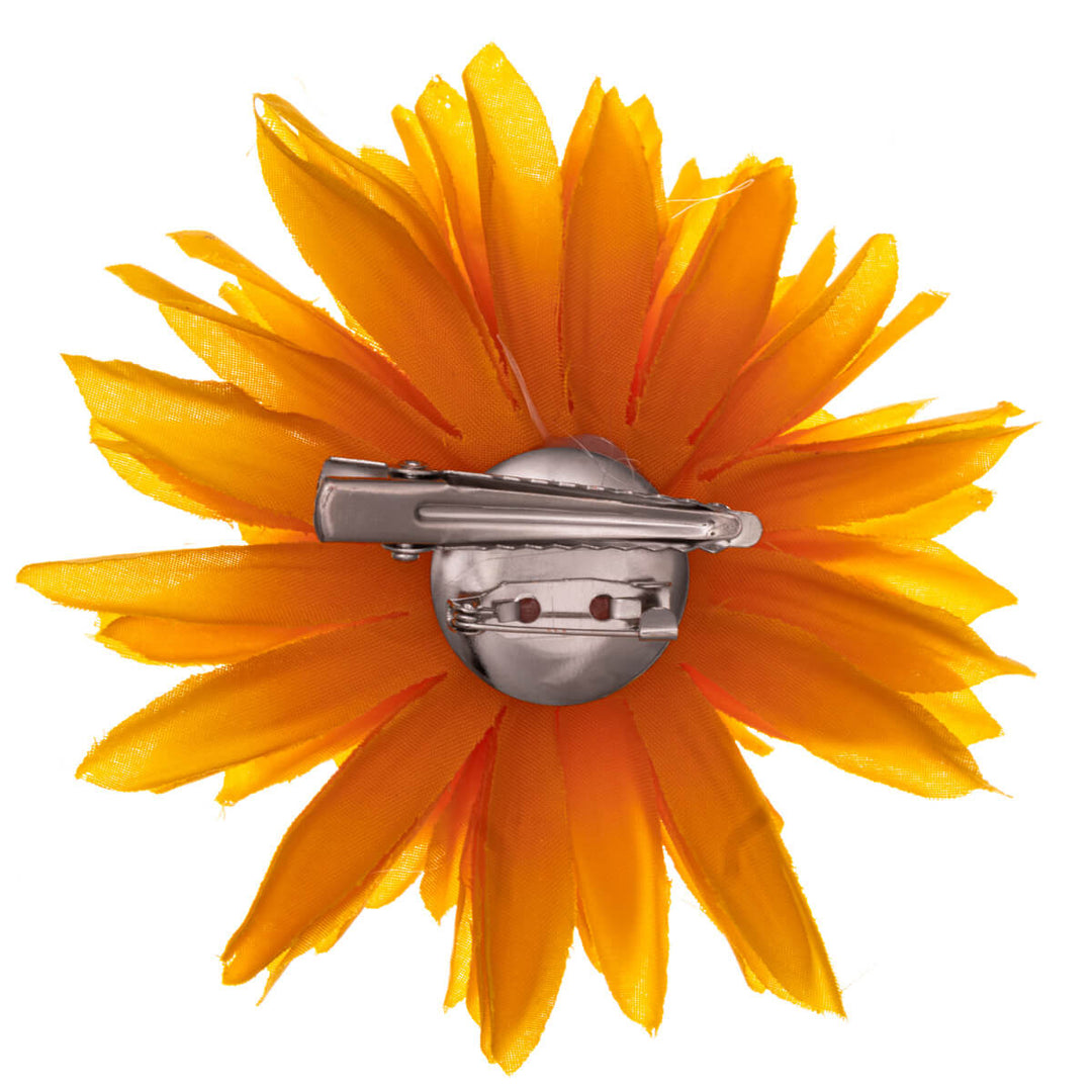 Anmutige schmalblättrige Haar- und Trachtenblume 9cm