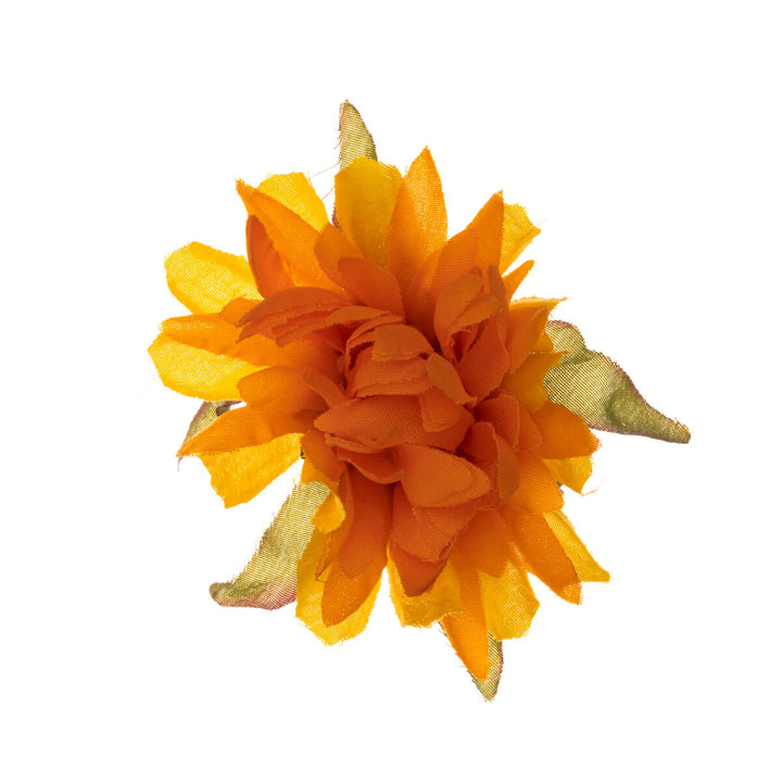 Liten hårblomma med smalt kronblad och kostymblomma 6cm