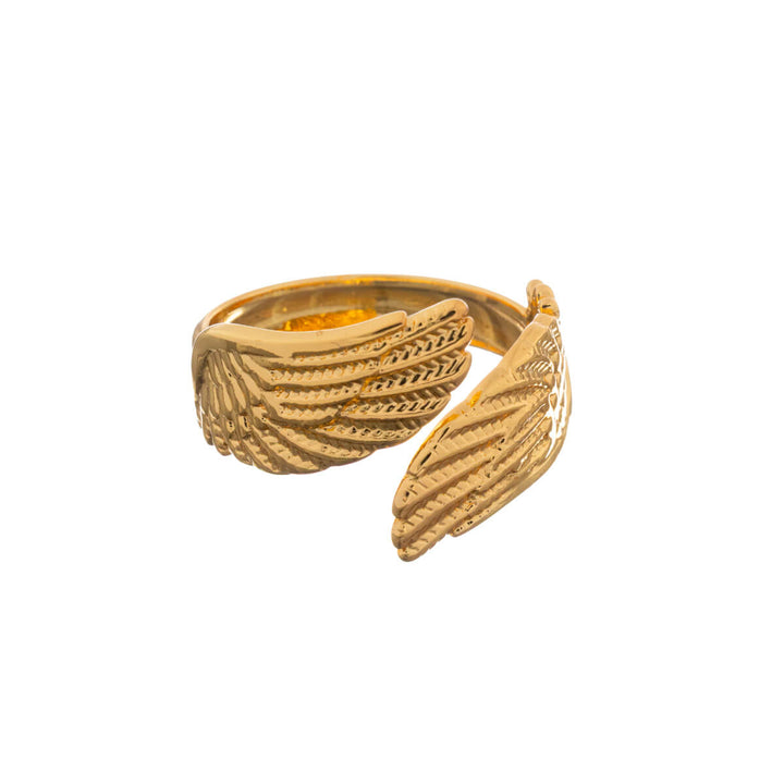 Justerbar ring i guld (316L stål) 5-delars set