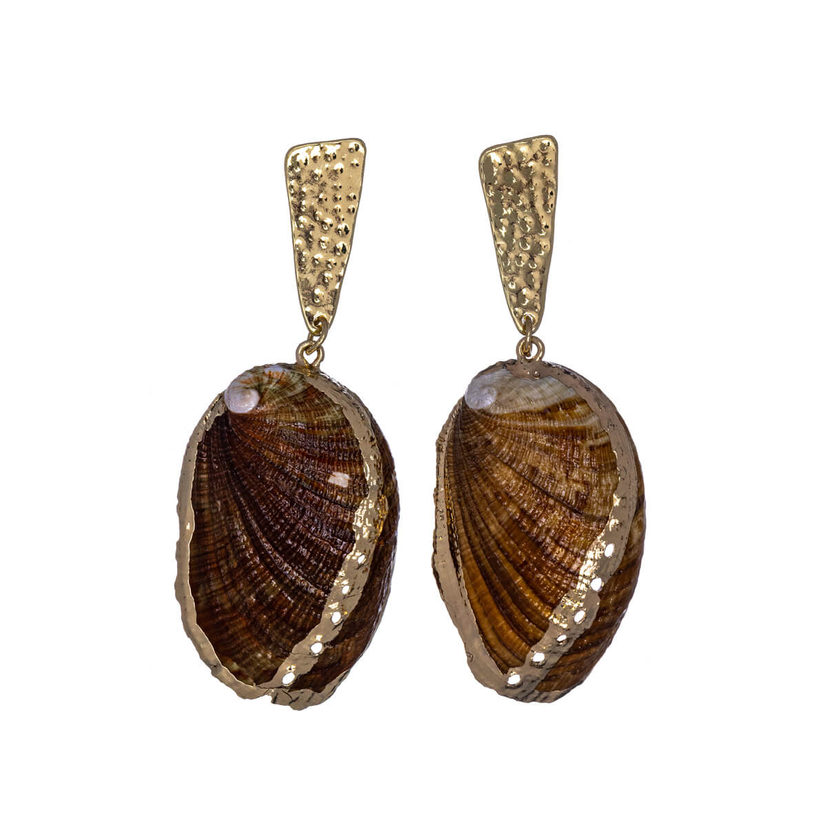 Gilded mussel earrings