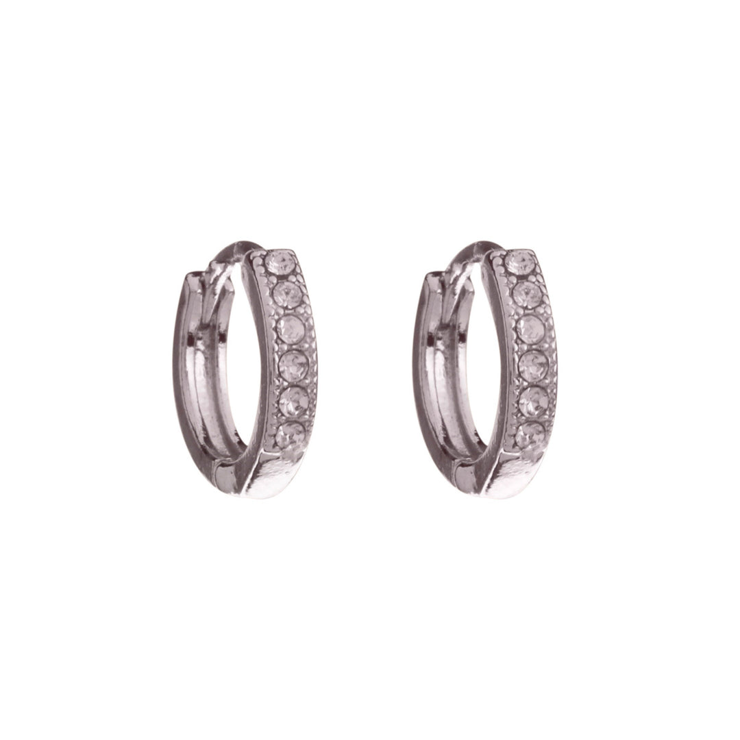 Dünne glitzernde Ohrringe