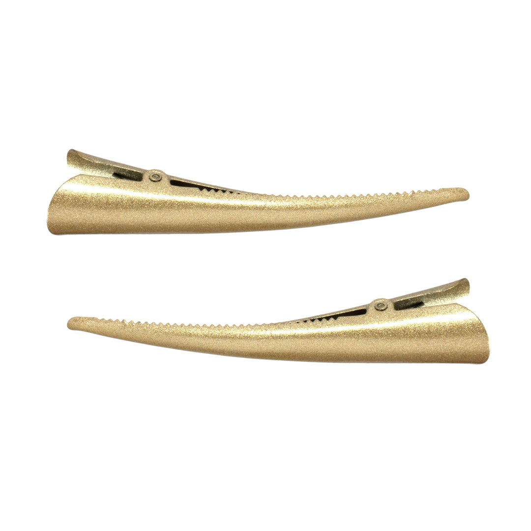 Metallic cam hair clip 2pcs