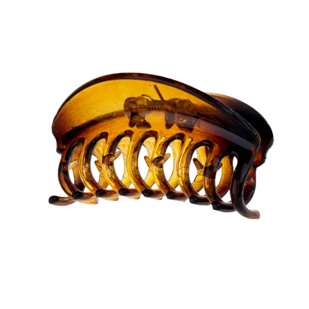 Curved shark tooth 7cm