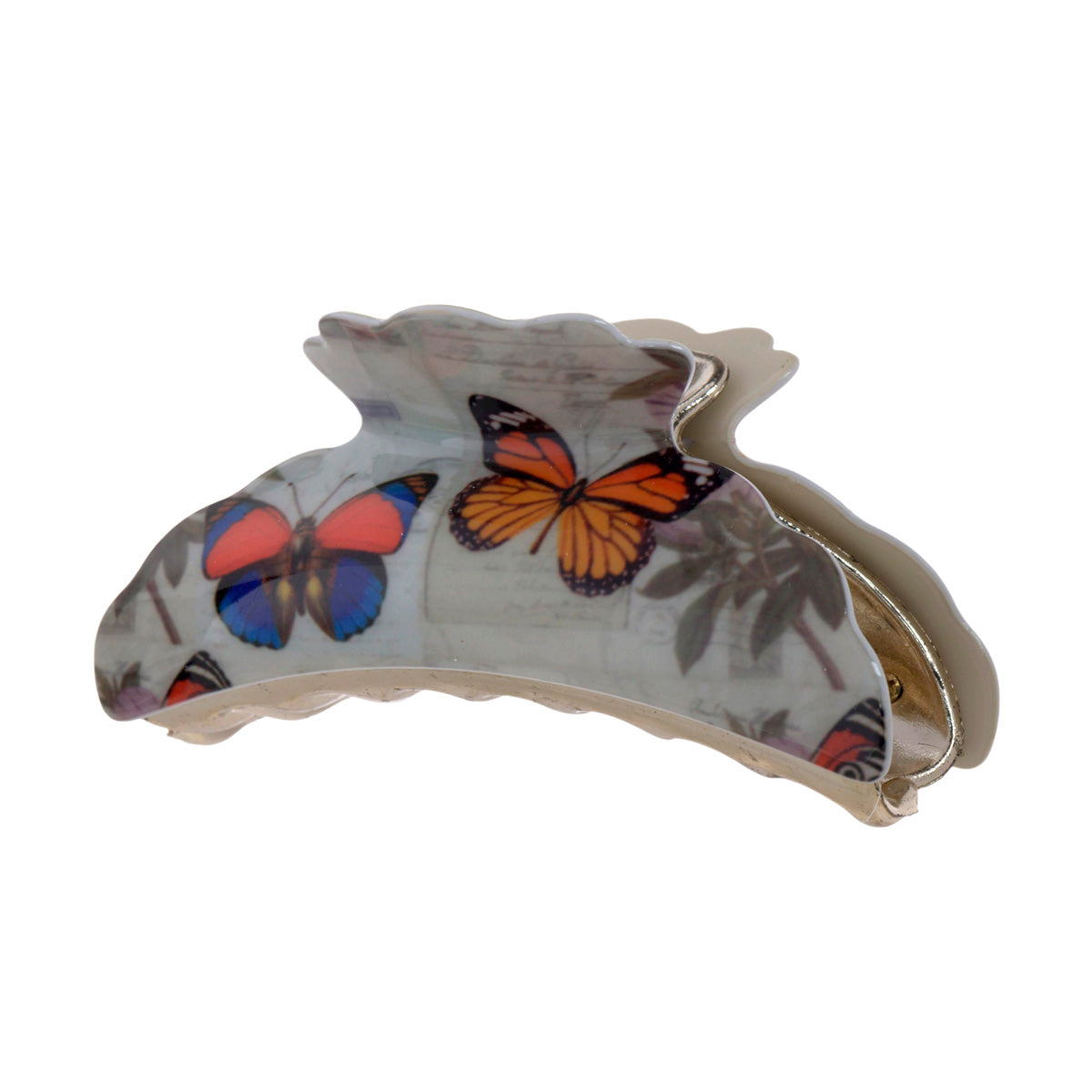 Butterfly Hain tooth 8.8cm 1pcs